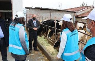 Kırmızı kategorideki Aksaray’da ziraatçılar...