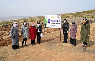 Kırşehir’de, Mercan Ormanı oluşturuldu
