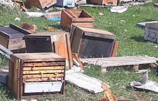 Kış uykusundan uyanan ayılar bal kovanlarına saldırdı