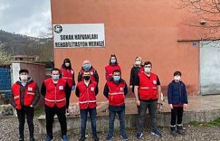 Kızılay sokak hayvanlarını unutmadı