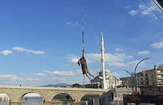 Kızılırmak’a düşen büyükbaş hayvan vinç...
