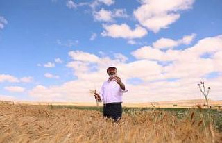 Kocasinan Belediyesi’nden tarımsal kalkınmaya...