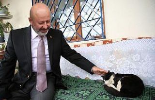 Kocasinan’dan küçük dostlara sıcak bir yuva...