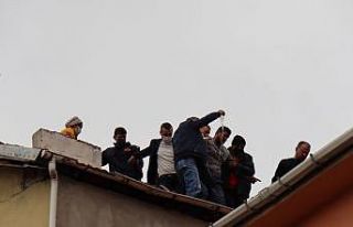 Komşuları beslediği hayvanları şikayet edince...