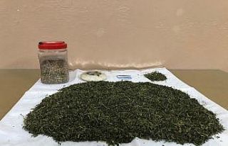 Konya’da 960 gram esrar ve kenevir tohumu yakalandı
