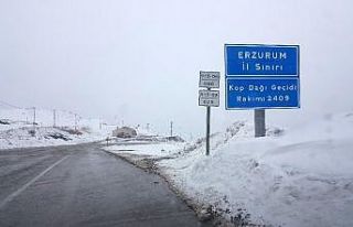 Kop Dağı Geçidinde kar ve tipi etkili oldu