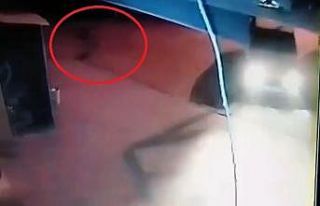 Köpeği ezdi, arkasına bakmadan gitti