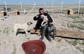 Köpekleriyle köyünden kovulan engelli genç, kendini...