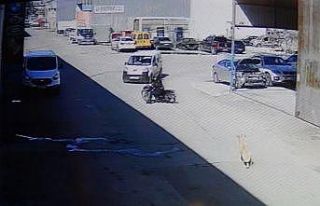 Köpekten korkan motosikletli otomobile çarptı:...