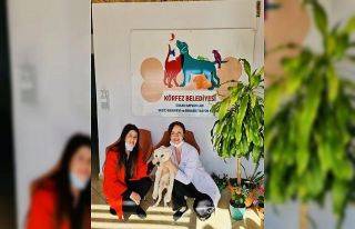 Körfez’de 55 sokak hayvanı sahiplendirildi