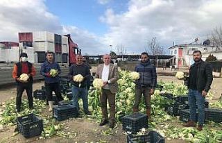 Korona virüs çiftçileri durduramadı