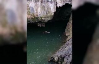 Koruma altında bulunan samurların yüzme keyfi