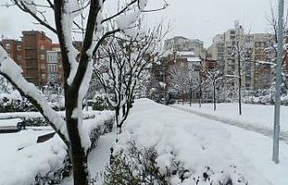 Kosova’da ilkbaharda kar sürprizi