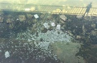 Kötü kokuların geldiği Araç Çayı’nda çevre...