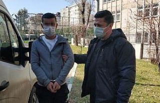 Kovalama sonucu bonzai ile yakalanan genç tutuklandı