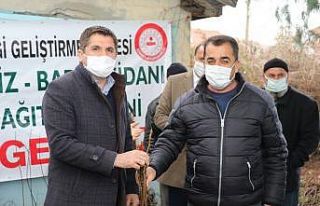 Kovancılar’da 5 bin 500 meyve fidanı dağıtıldı