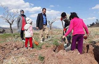 Köylüler kendi imkanlarıyla ağaç dikti