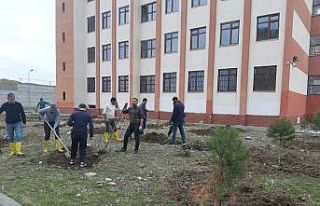 Kulp’ta İmam Hatip Lisesi bahçesine 150 adet dut...