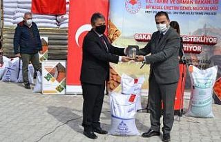 Kulu’da çiftçilere 107 ton sertifikalı mercimek...