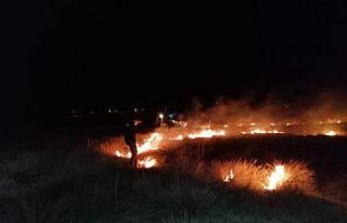 Kundaklanan merada çıkan yangın söndürüldü