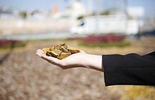 Kurakçıl Peyzaj Projesi başladı