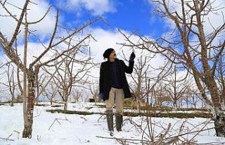 Kuraklık endişesi yaşayan kiraz üreticilerinin...