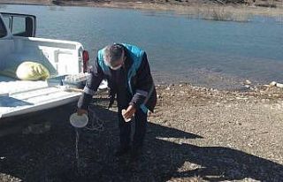 Kureyşler barajında nitrak kirlilik ölçümü
