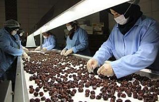 Kuru meyve üreterek pandemi döneminde daha da büyüdüler