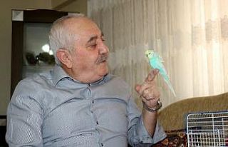 Kuş dile geldi, PKK’ya beddua etti