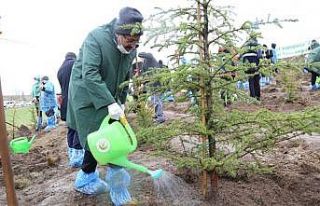 Kütahya’da 400 fidan toprakla buluştu