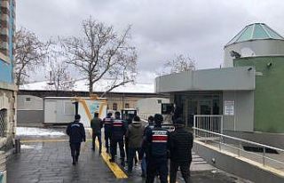 Kütahya’da hayvan hırsızlığına 5 gözaltı