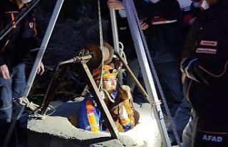 Kuyuya düşen yavru keçiler kurtarıldı