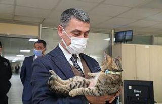 Leo, Gölbaşı Belediyesi’nin Maskotu oldu