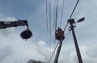 Leyleklere özel koruma