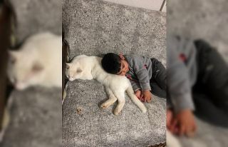 Mahallenin gençleri direkte mahsur kalan kediyi iş...