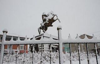 Malazgirt’te kar yağışı