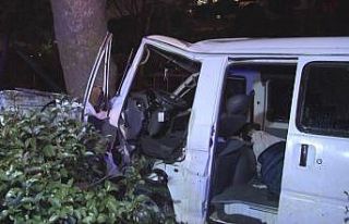 Maltepe sahil yolunda ağaca çarpan sürücü araç...