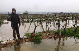 Manisalı çiftçilerin yağmur sevinci