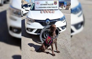 ’Manken’ uyuşturucu tacirlerine geçit vermiyor