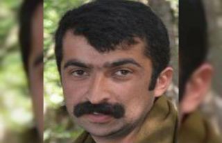 Mardin’de etkisiz hale getirilen 6 teröristten...