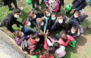 Mardin’de öğrenciler okul bahçesine fidan dikti