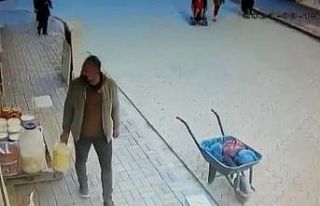 Mardin’de peynir hırsızlığı güvenlik kamerasında