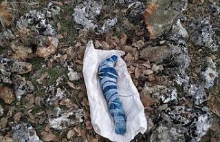 Mardin’de teröristlere ait mühimmat ele geçirildi