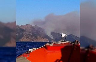 Marmaris’te orman yangını