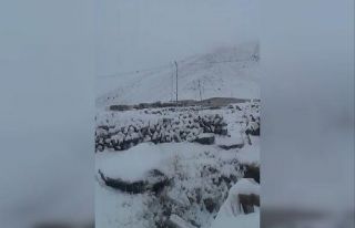 Mart ayında Iğdır’ın yüksek kesimlerine kar...