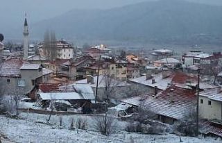 Mart karı Çameli’yi beyaze bürüdü