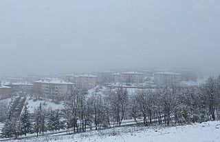 Mart karı yüksek kesimleri beyaza bürüdü