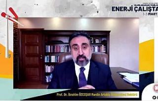 MAÜ’de uluslararası yenilenebilir enerji çalıştayı...