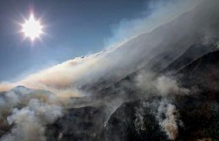 Meksika’da devam eden orman yangınları 7 bin hektarlık...