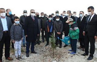 Mersin’de 200 fidan toprakla buluştu